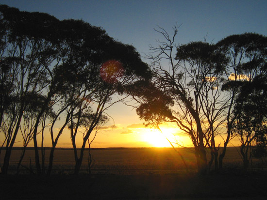 sunset