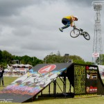 dylan 360 whip